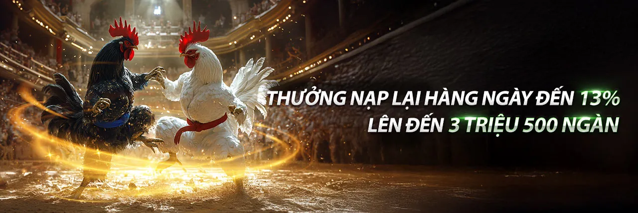 Đá Gà Trực Tiếp 88 Com C3 – Sân chơi cá cược đá gà đỉnh cao